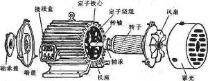 振動(dòng)電機(jī)損壞的常見(jiàn)原因有哪些？