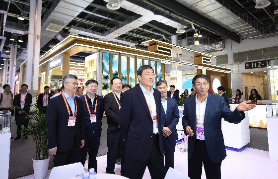 江蘇省委常委、常務副省長馬欣蒞臨上上展位-1.jpg